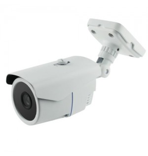 видеокамера Altcam DCV21IR-2